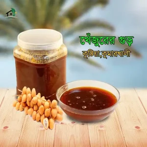 কুষ্টিয়ার খেজুর গুড়